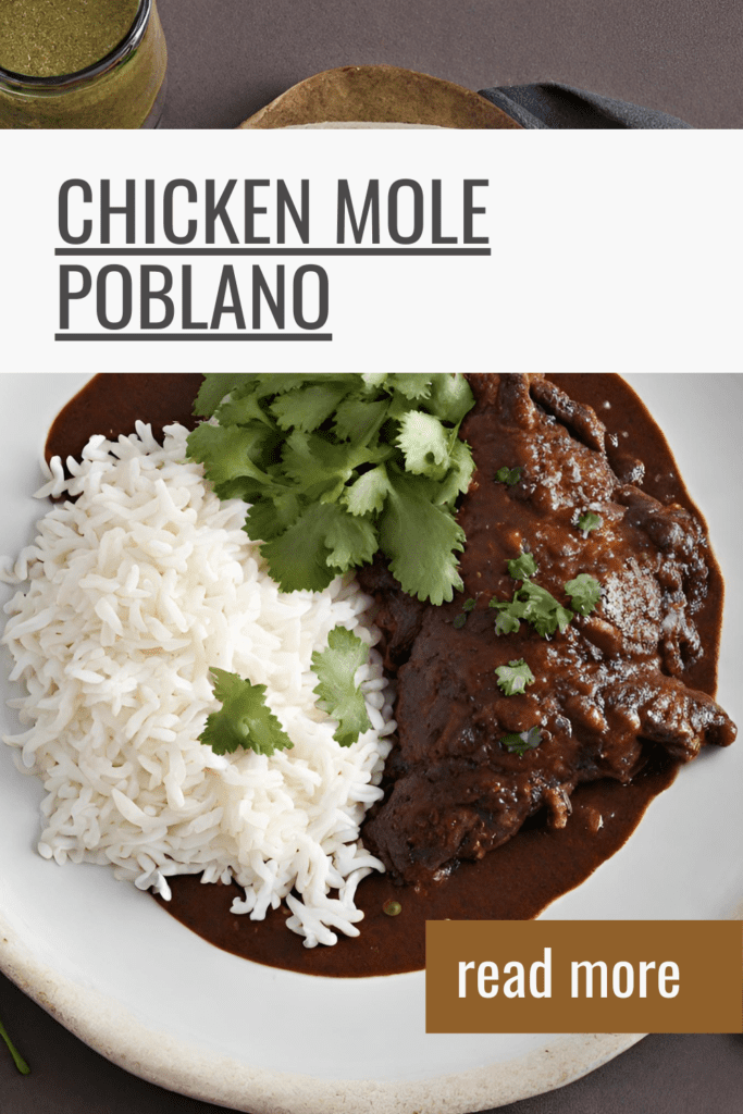 Delicious Chicken Mole Poblano served with white rice and garnished with fresh cilantro, presented on a rustic ceramic plate with a green sauce in the background.